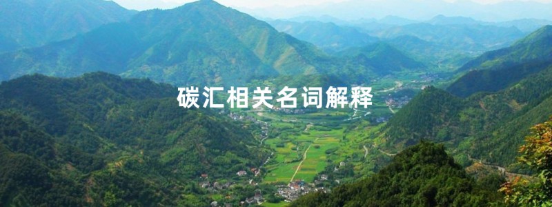 名词解释