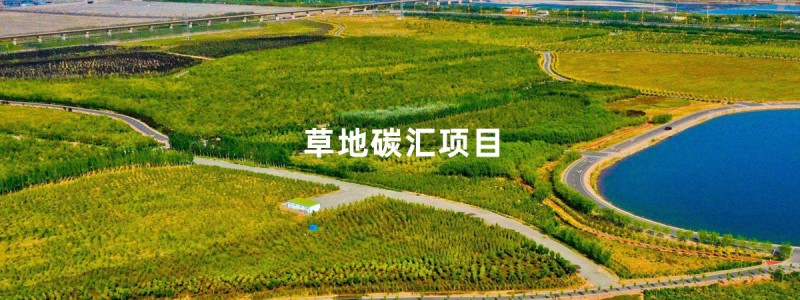 草地碳汇