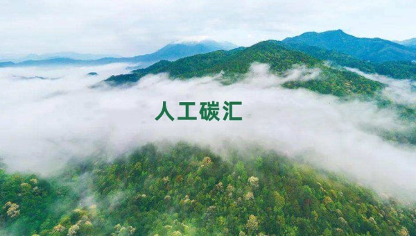 人工碳汇