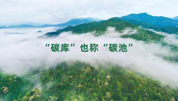 碳库