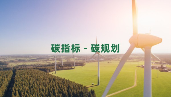 碳指标