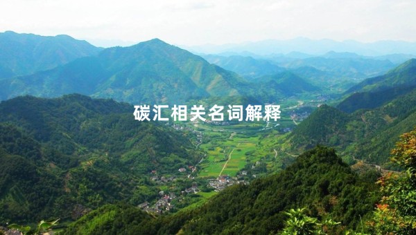 名词解释