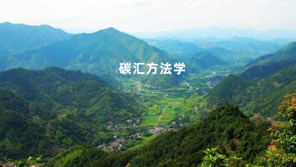 碳方法学