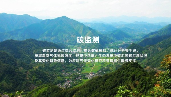 碳监测