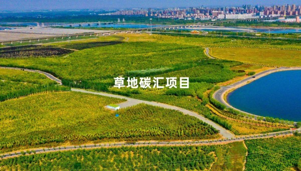 草地碳汇