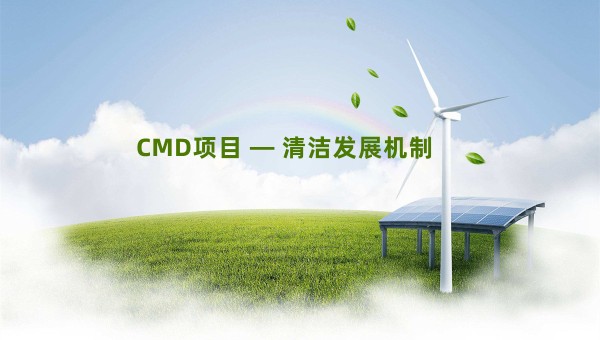 CDM项目