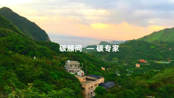 碳专家