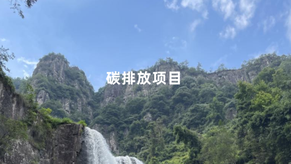 碳项目